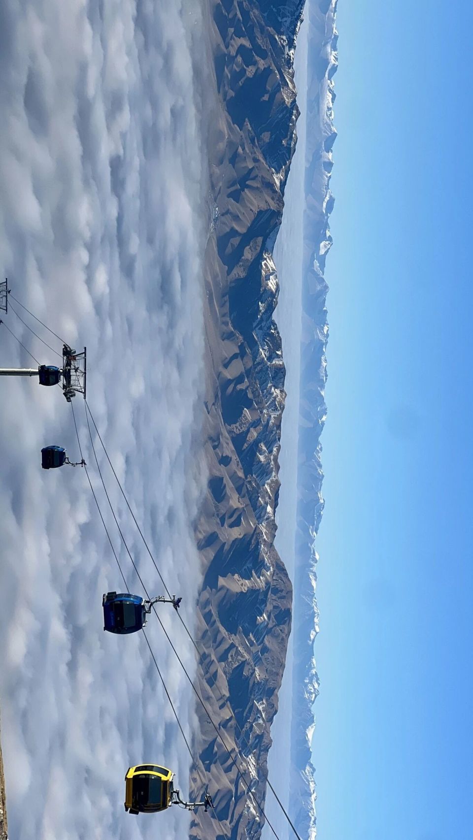 displ, cal, 雪搭子